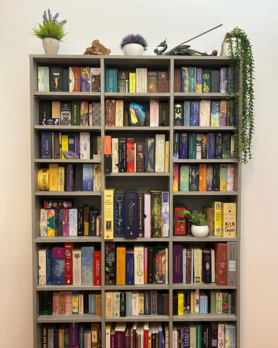 Estantería llena de barajas de tarot evolutivo