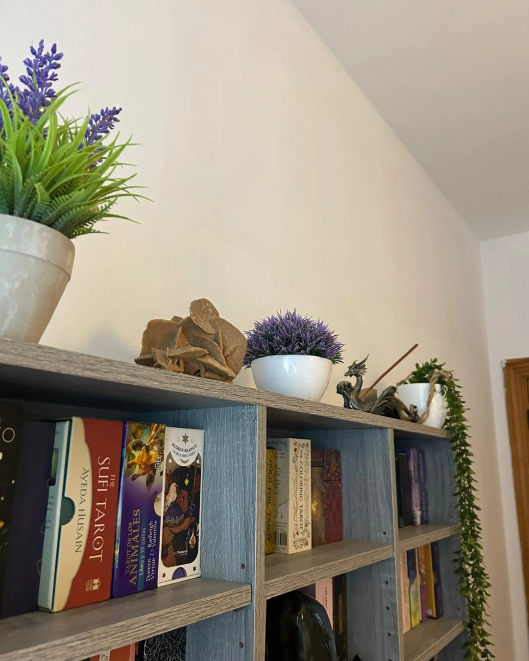 Estantería de tarot con planta